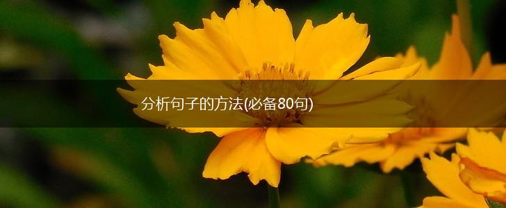 分析句子的方法(必备80句),第1张