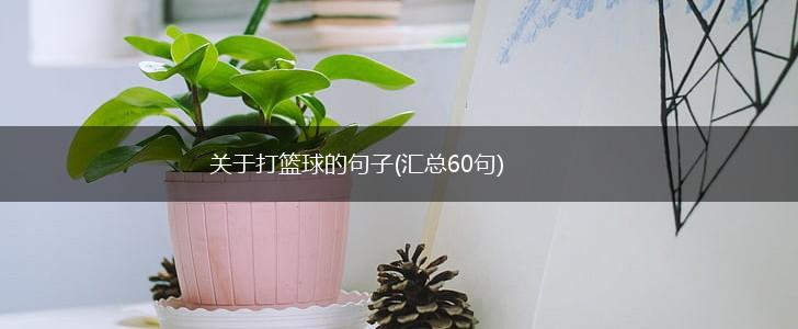 关于打篮球的句子(汇总60句),第1张