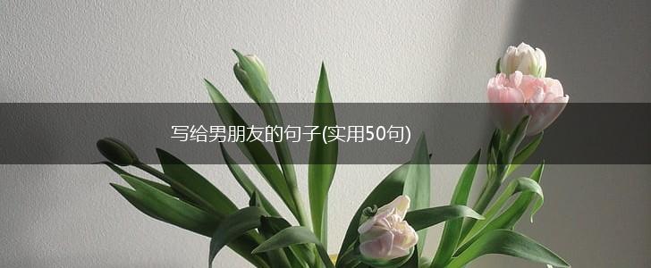 写给男朋友的句子(实用50句),第1张