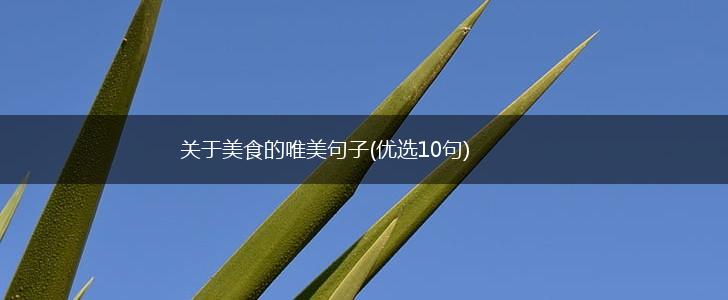 关于美食的唯美句子(优选10句),第1张