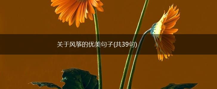 关于风筝的优美句子(共39句),第1张