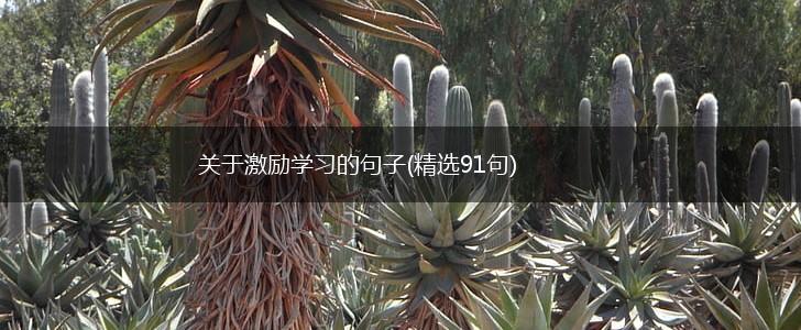关于激励学习的句子(精选91句),第1张