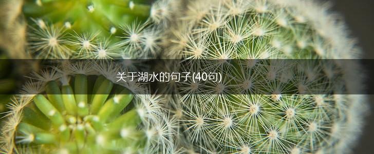 关于湖水的句子(40句),第1张
