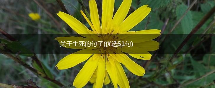关于生死的句子(优选51句),第1张