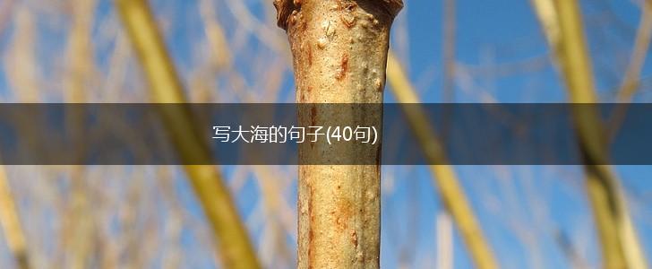 写大海的句子(40句),第1张