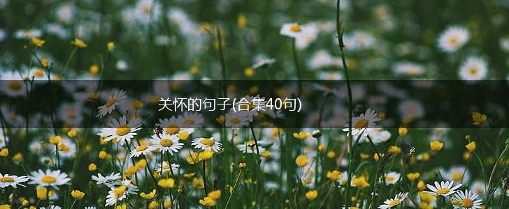 关怀的句子(合集40句),第1张
