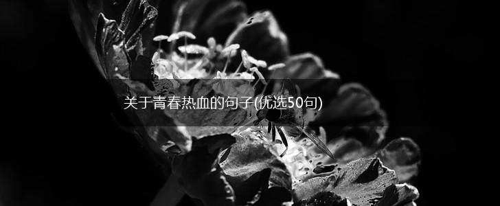 关于青春热血的句子(优选50句),第1张