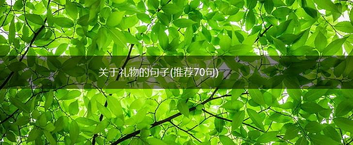 关于礼物的句子(推荐70句),第1张