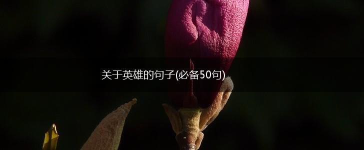 关于英雄的句子(必备50句),第1张