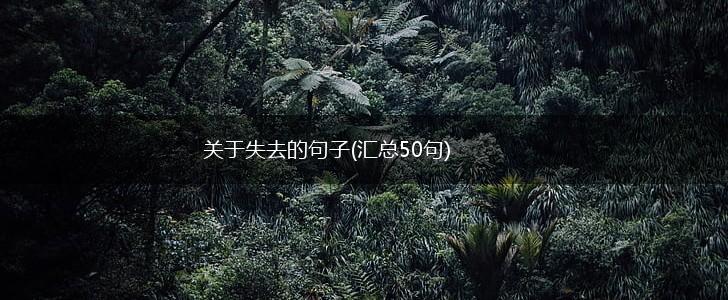 关于失去的句子(汇总50句),第1张