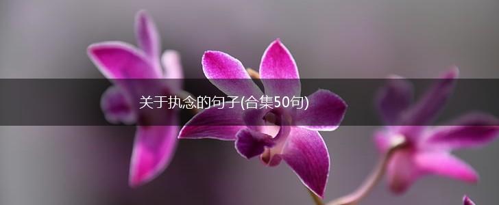 关于执念的句子(合集50句),第1张