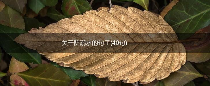 关于防溺水的句子(40句),第1张