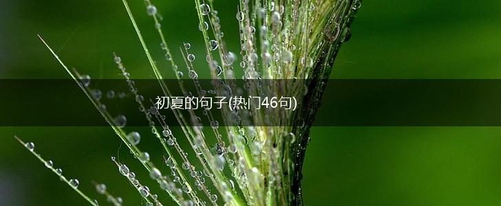 初夏的句子(热门46句),第1张