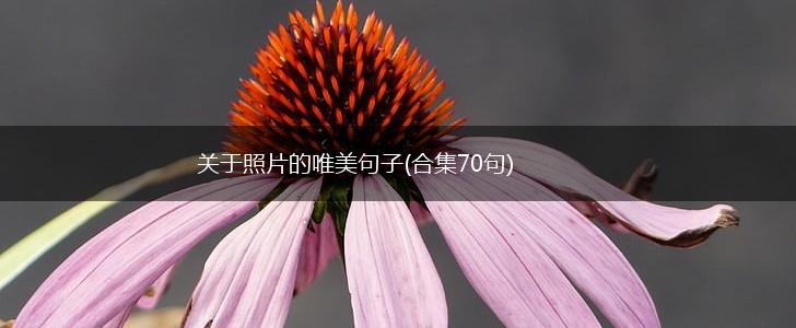 关于照片的唯美句子(合集70句),第1张
