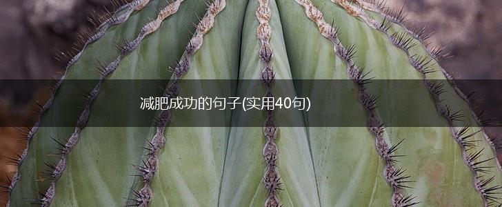 减肥成功的句子(实用40句),第1张