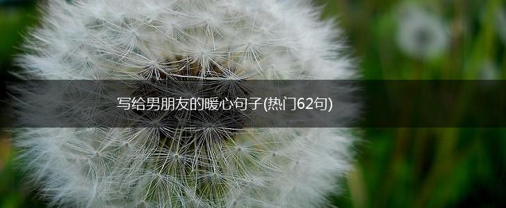 写给男朋友的暖心句子(热门62句),第1张