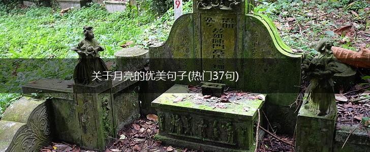 关于月亮的优美句子(热门37句),第1张