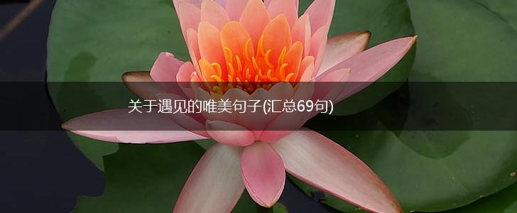 关于遇见的唯美句子(汇总69句),第1张