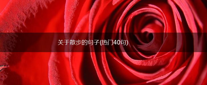 关于散步的句子(热门40句),第1张