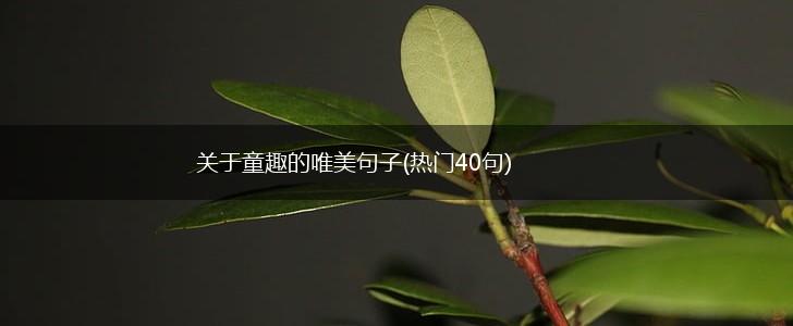 关于童趣的唯美句子(热门40句),第1张
