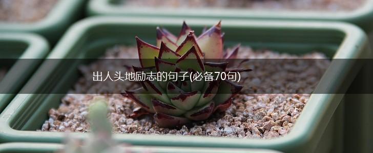 出人头地励志的句子(必备70句),第1张