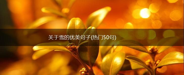 关于雪的优美句子(热门50句),第1张