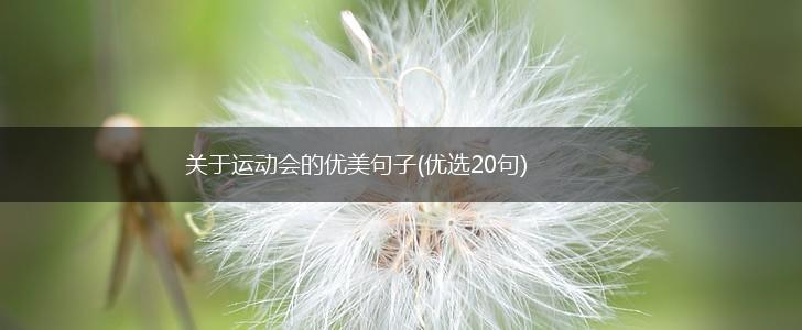 关于运动会的优美句子(优选20句),第1张