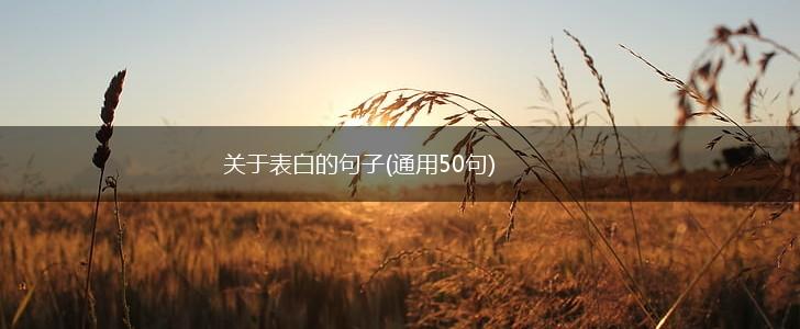 关于表白的句子(通用50句),第1张