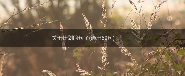关于计划的句子(通用60句),第1张