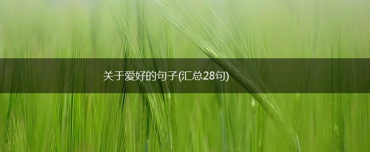 关于爱好的句子(汇总28句),第1张