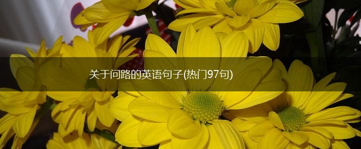 关于问路的英语句子(热门97句),第1张