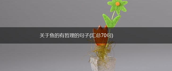 关于鱼的有哲理的句子(汇总70句),第1张