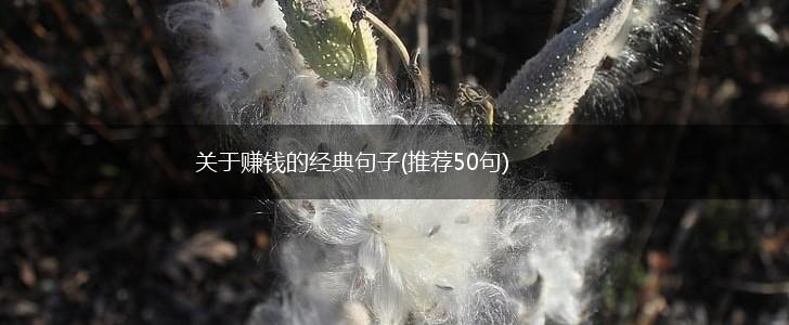 关于赚钱的经典句子(推荐50句),第1张
