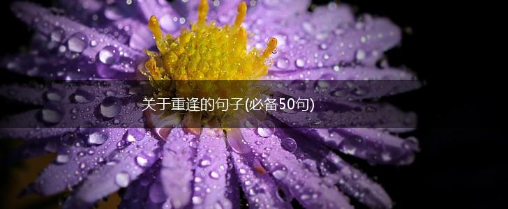 关于重逢的句子(必备50句),第1张
