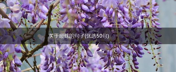 关于暧昧的句子(优选50句),第1张
