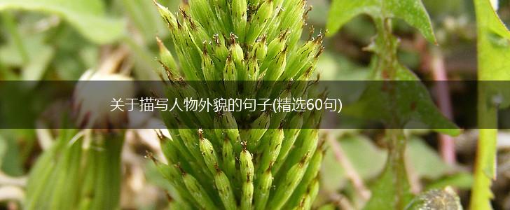 关于描写人物外貌的句子(精选60句),第1张