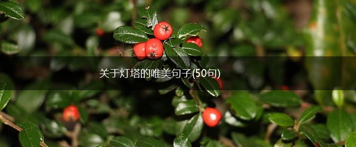 关于灯塔的唯美句子(50句),第1张