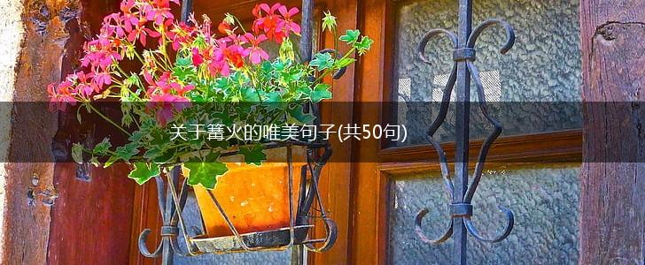 关于篝火的唯美句子(共50句),第1张