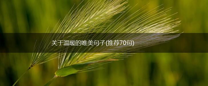 关于温暖的唯美句子(推荐70句),第1张