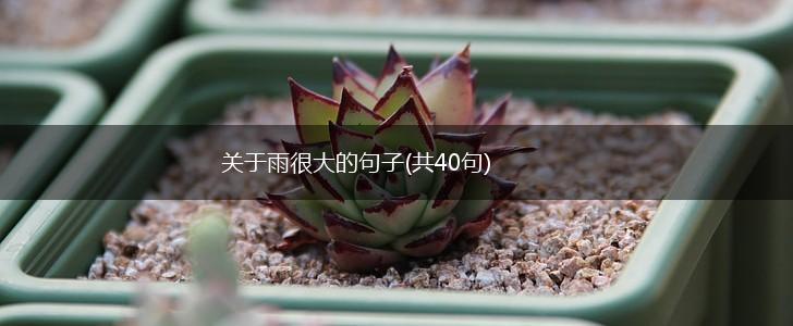 关于雨很大的句子(共40句),第1张
