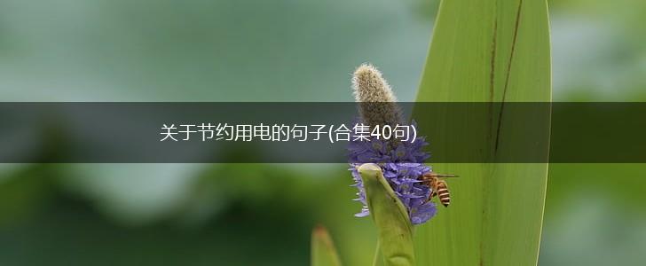 关于节约用电的句子(合集40句),第1张