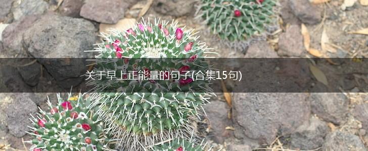 关于早上正能量的句子(合集15句),第1张
