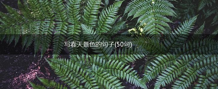 写春天景色的句子(50句),第1张