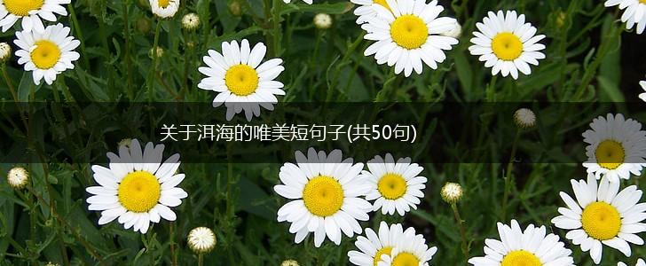 关于洱海的唯美短句子(共50句),第1张