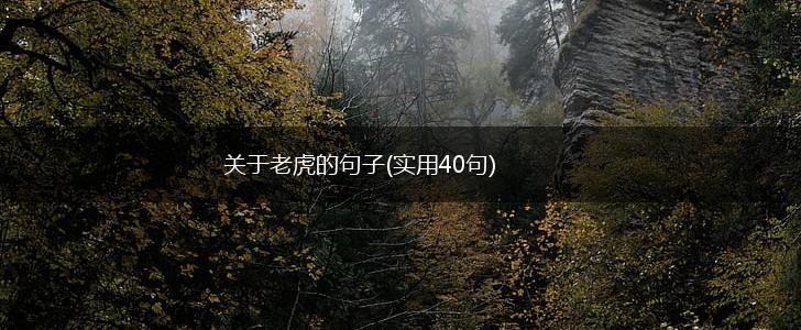 关于老虎的句子(实用40句),第1张