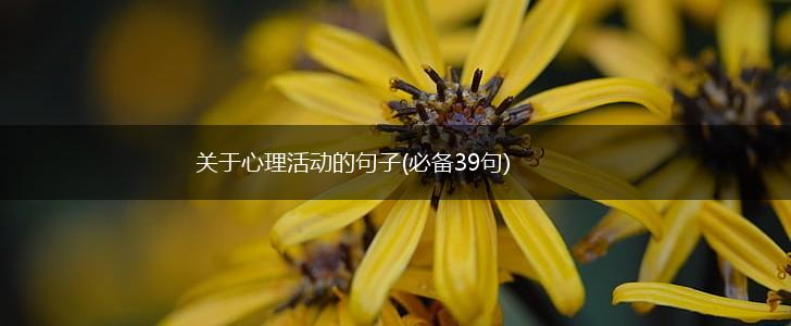 关于心理活动的句子(必备39句),第1张