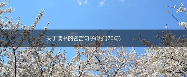 关于读书的名言句子(热门70句),第1张
