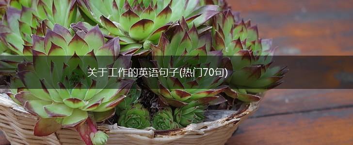 关于工作的英语句子(热门70句),第1张