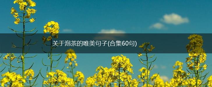 关于泡茶的唯美句子(合集60句),第1张