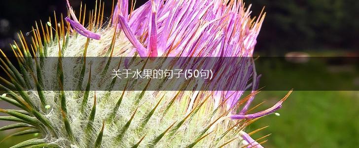 关于水果的句子(50句),第1张